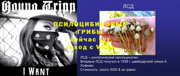 хмурый Бердск