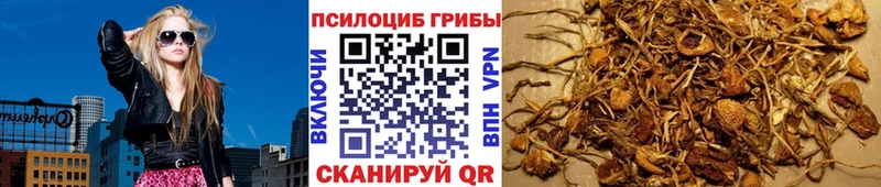 Галлюциногенные грибы ЛСД  как найти наркотики  mega   Краснознаменск 